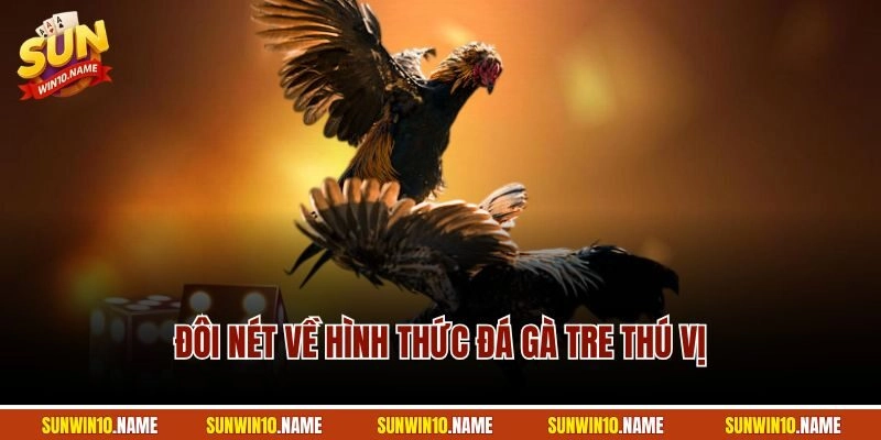 Đôi nét về hình thức đá gà tre thú vị